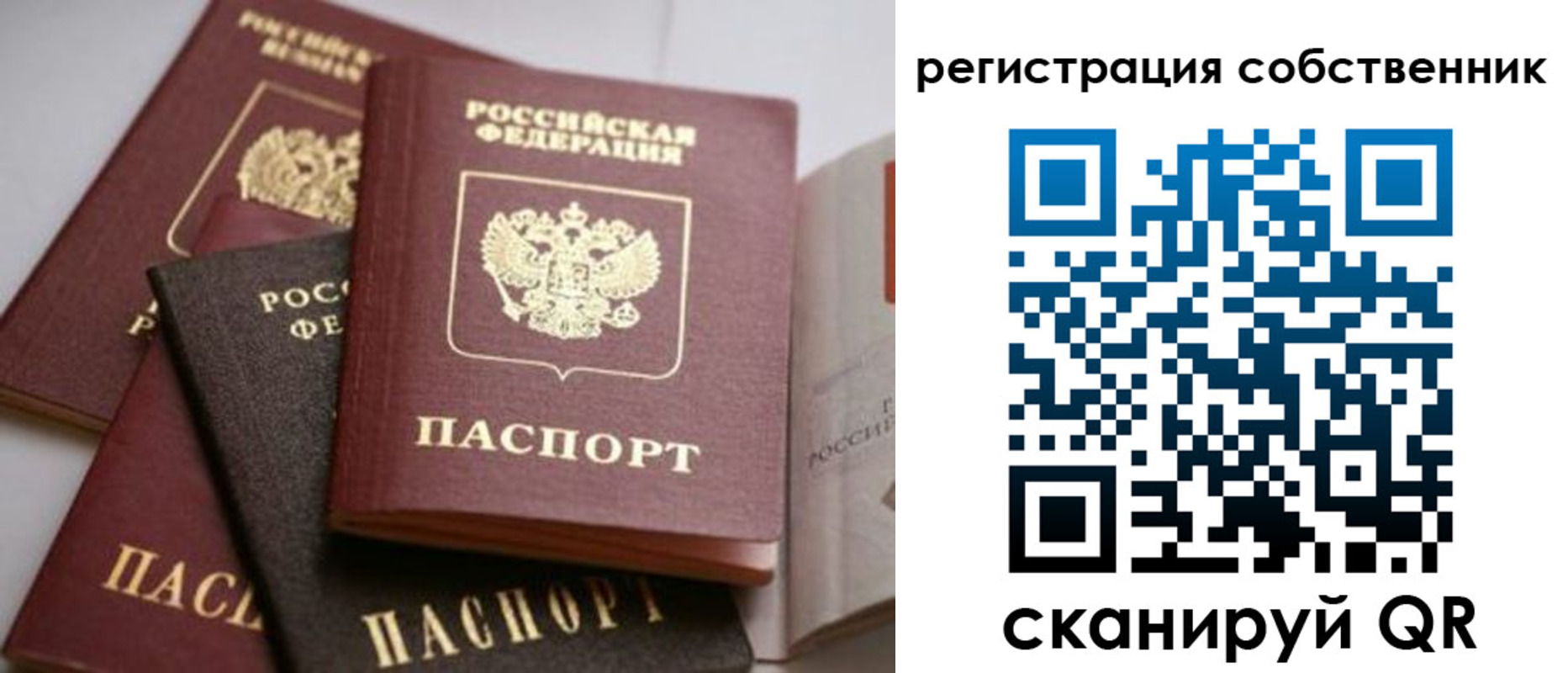 временная регистрация поиск в Острове